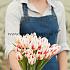 Tulipa Happy Generation 12/+ (x250)