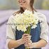 Narcissus Hillstar Z12/14 (x 250)