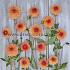 Dahlia Bonanza (x 35)