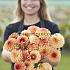 Dahlia Bonanza (x 35)