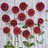 Dahlia Red Fox (x 35)