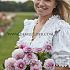 Dahlia Pink Silk (x 35)