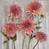 Dahlia Fairway Spur (x 35)