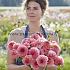 Dahlia Pink Runner (x 35)