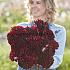 Dahlia Manoa (x 35)