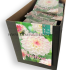 Pre-packed Dahlia Eveline I (x14x1)