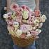 Ranunculus Amandine Porcelaine 3/5 (x250)