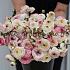 Ranunculus Friandine White Picotee 3/5 (x250)