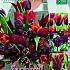 After Dusk Bouquet Mix I (x12x15)