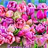 Lovely Wedding Bouquet Mix I (x12x15)