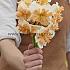 Narcissus Zinzi Butterfly 14/16 (x8x3)