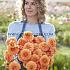 Pre-packed Dahlia Sylvia I (x14x1)