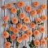 Pre-packed Dahlia Sylvia I (x14x1)