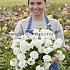 Pre-packed Dahlia Orsett Beauty I (x14x1)