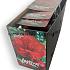 Pre-packed Begonia Double Red 6/7 (x14x3)