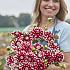 Pre-packed Dahlia Checkers I (x14x1)