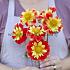 Pre-packed Dahlia Pooh I (x14x1)