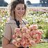 Pre-packed Dahlia L.A.T.E. I (x14x1)