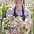 Pre-packed Dahlia Cafe De Paris I (x14x1)