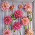 Dahlia Penhill Watermelon (x 35)