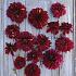 Dahlia Bohemian Spartacus (x 35)