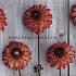 Dahlia Autumn Pumpkin (x 35)