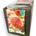 Pre-packed Dahlia Creme De Cognac I (x14x1)